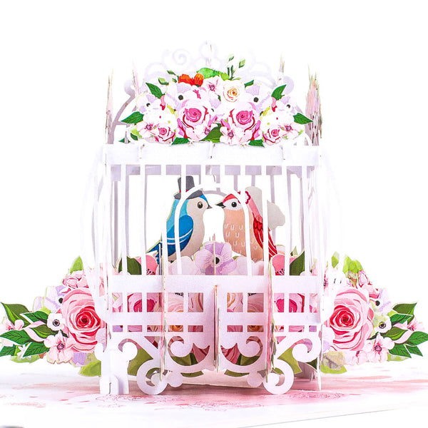 Love Bird Cage