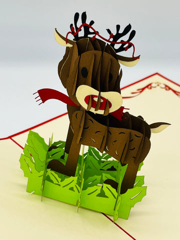 Reindeer