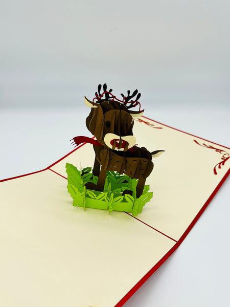 Reindeer